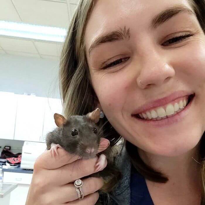 veterinarian holding mice