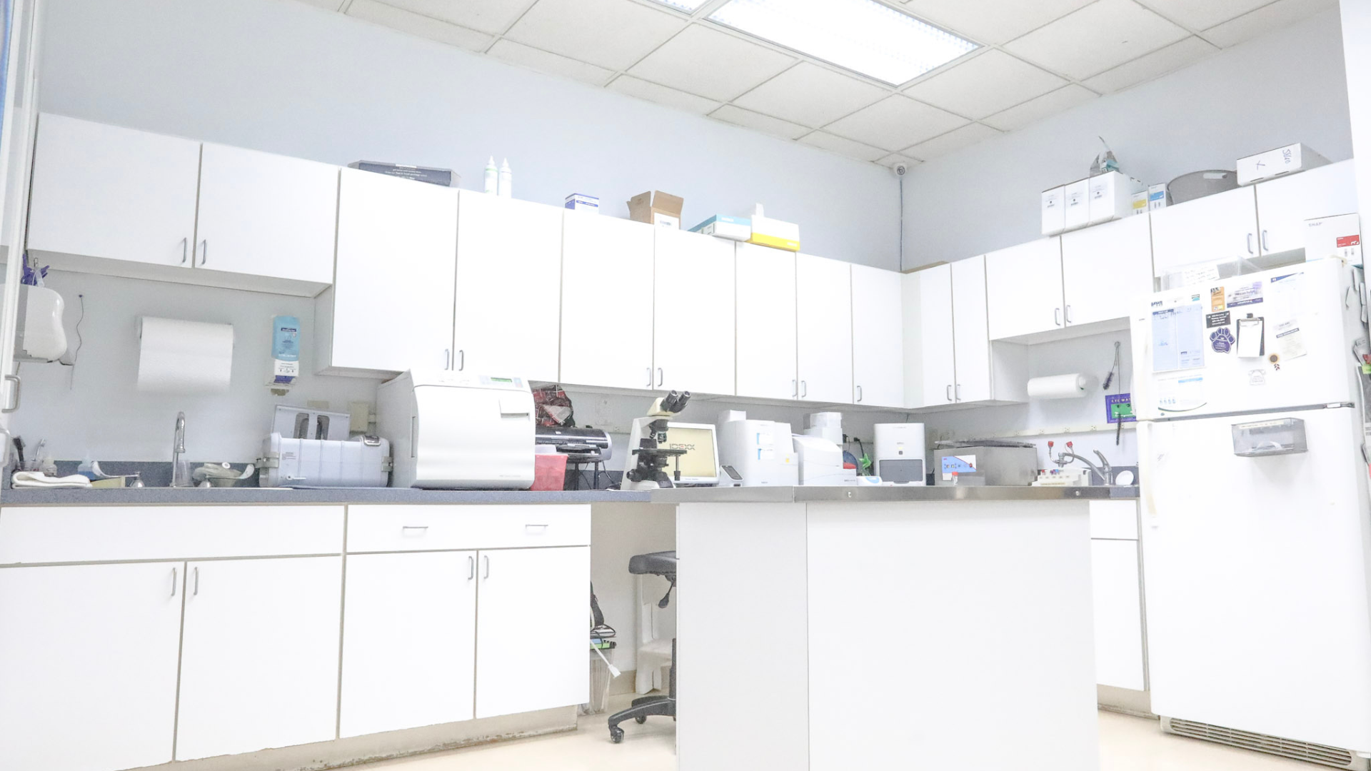 lab header