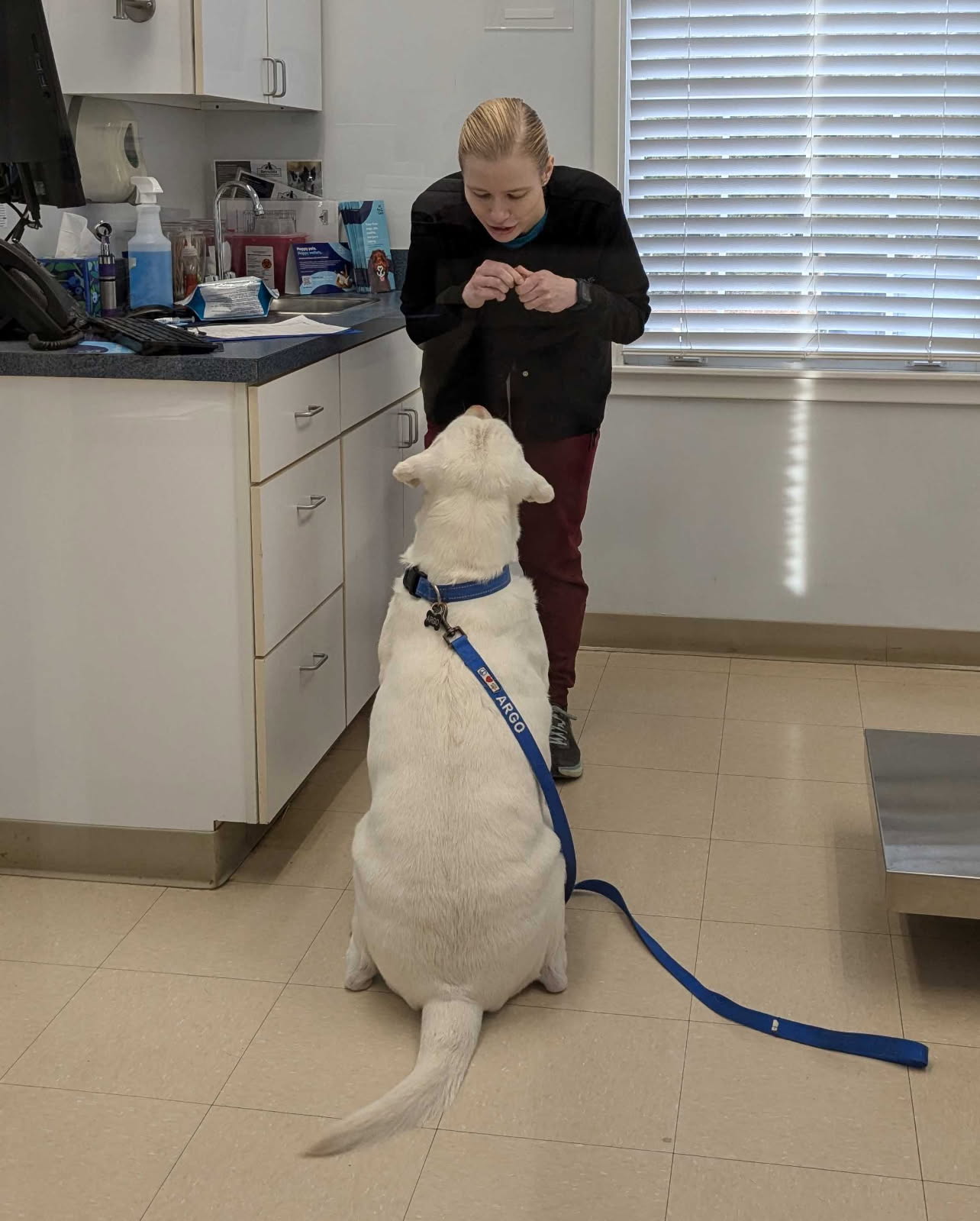 Hospital Tour MF and Argo
