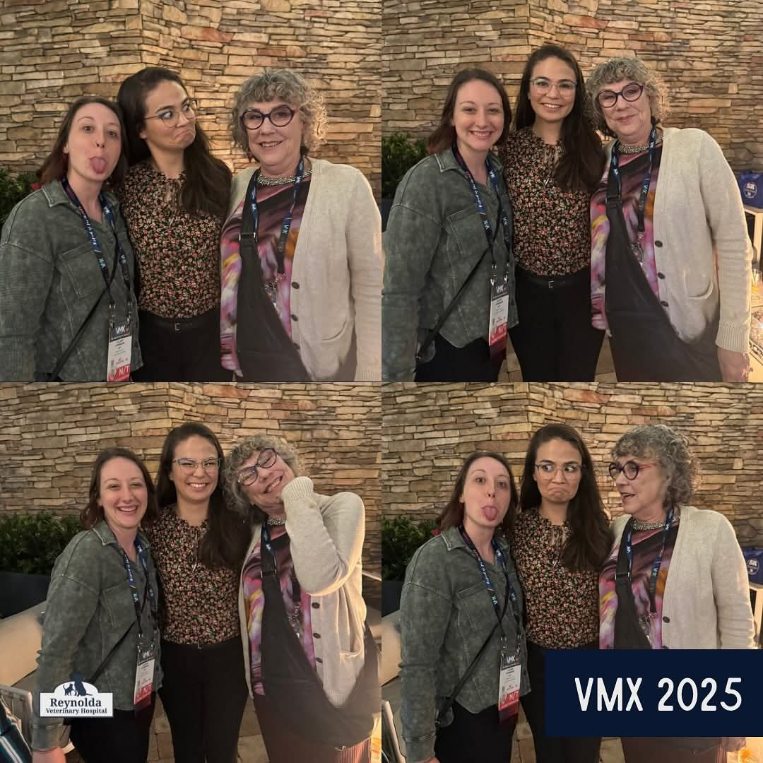 Hospital Tour VMX 25
