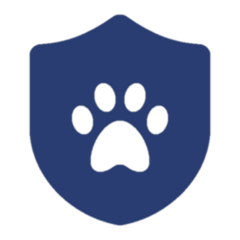 pet-insurance-icon